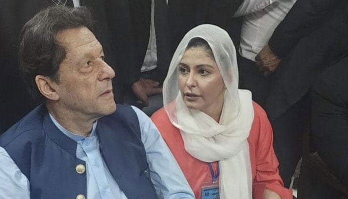 عمران خان نے شاہ محمود قریشی اوراسد عمر کے نام لکھ کر ان کی گرفتاریوں کو غیرقانونی قرار دے کر مذمت کی تھی— فوٹو:فائل