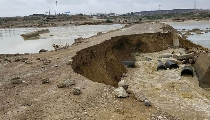 فوٹو: جیو نیوز