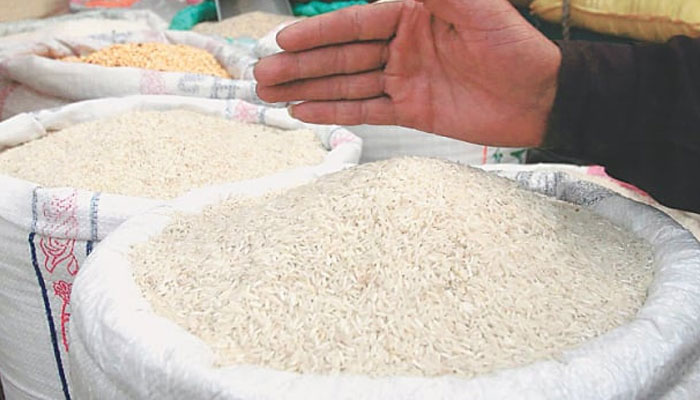 بھارت کی ہالیہ بارشوں اور سیلاب کے بعد چاول کی برآمد پر پابندی عائد کردی گئی ہے/ فائل فوٹو