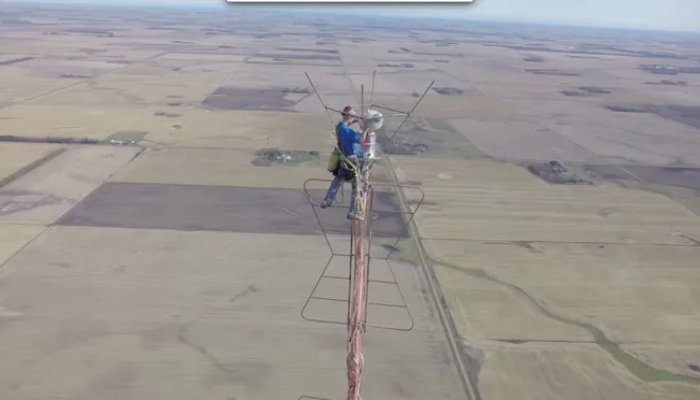 کیون اسکمڈٹ بلب تبدیل کر رہے ہیں / فوٹو بشکریہ Prairie aerial