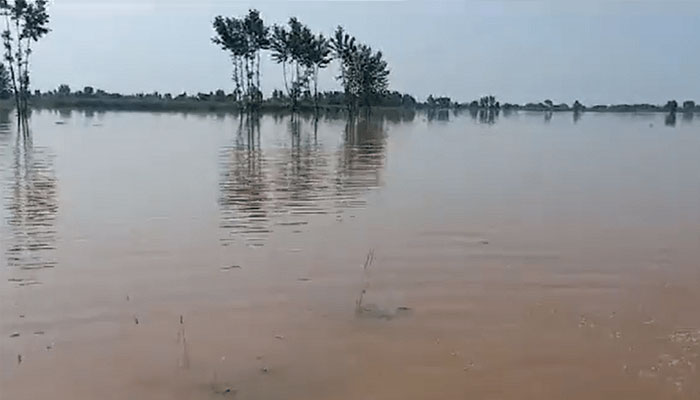 سیلابی ریلے نے احمد پور شرقیہ کے دریائی بیلٹ میں تباہی مچادی جس سے ہزاروں ایکڑ زرعی اراضی پر کھڑی فصلیں بر باد ہوگئیں/ فائل فوٹو