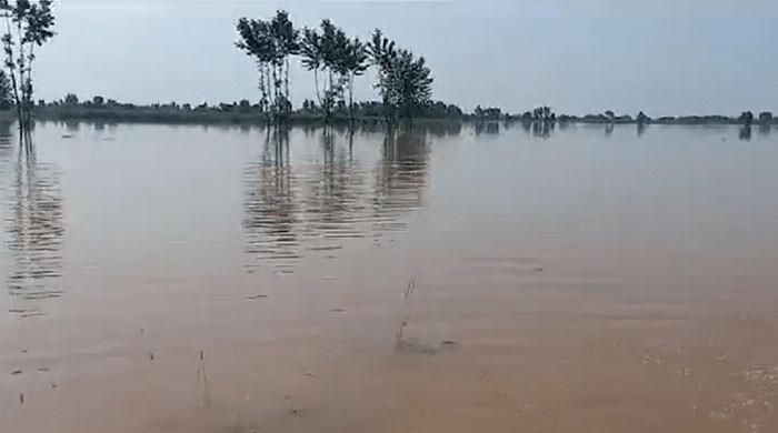 دریائے ستلج میں سیلابی ریلے سے جلالپور کا بند ٹوٹ گیا، سیکڑوں ایکڑ رقبہ زیر آب