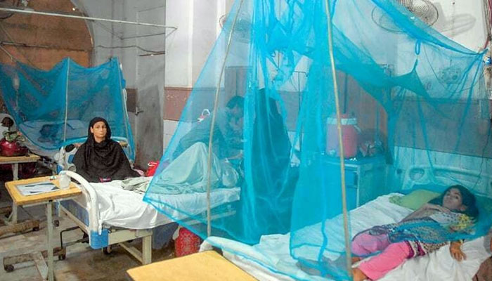 حیدرآباد ڈویژن میں ملیریا کے 287 ،لاڑکانہ 143، میرپورخاص 98 اور شہید بینظیرآباد میں ملیریا کے 58کے کیسز رپورٹ ہوئے: محکمہ صحت/ فائل فوٹو