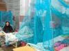 سندھ: 24 گھنٹوں میں ملیریا کے 600 کے قریب کیسز رپورٹ