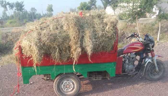 دہشتگرد نے بارودی مواد کو گھاس کے نیچے چھپائے رکھا تھا جسے خودکش حملے کے لیے استعمال کیا جانا تھا: ڈی پی اوباڑۃ۔ فوٹو فائل