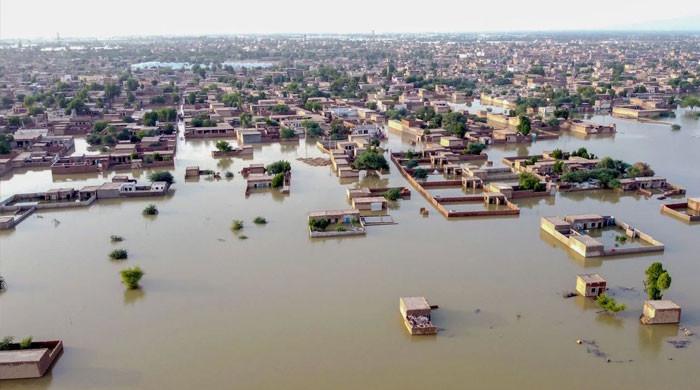 سیلاب بحالی کے پروجیکٹس کی سست رفتار، پاکستان جنیوا معاہدوں میں سے صرف 1.48 ارب وصول کرسکا
