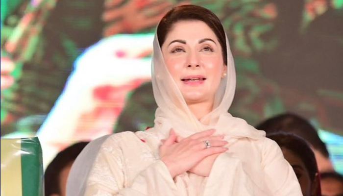 فوٹو: مسلم لیگ ن