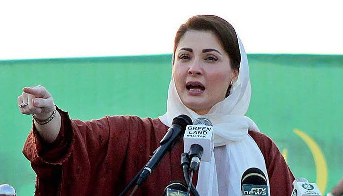 نوازشریف عوام کو مشکلات سے نکلنے کا حل بتانے کیلئے آ رہے ہیں: رہنما مسلم لیگ ن— فوٹو: فائل