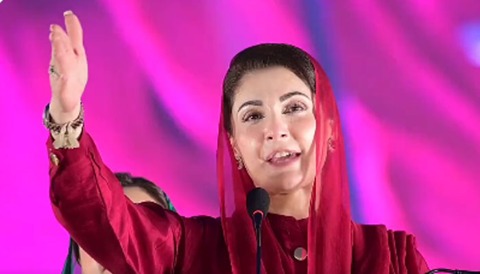 فوٹو: اسکرین گریب