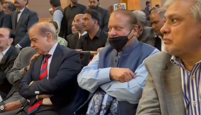 نہیں، ہم نوازشریف کوگرفتار نہیں کرنا چاہتے اور نہ ہی ہمیں حفاظتی ضمانت دینے پر اعتراض ہے، پراسیکیوٹر جنرل نیب کا عدالتی استفسار پر جواب— فوٹو: اسکرین گریب