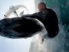 ویڈیو : سمندر میں ونڈ سرفنگ کرنے والے شخص کے اوپر وہیل چھلانگ لگا کر گرگئی