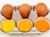 انڈوں کی زردی کے مختلف رنگ ہونے کی اصل وجہ جانتے ہیں؟