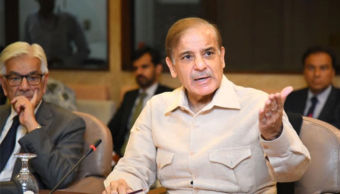 16 ماہ ساتھ کام کیا ہے، مخلوط حکومت کے مشاورت سے فیصلے ہوتے تھے، منفی بات یہ تھی کہ فیصلوں میں تاخیر ہوتی تھی: صدر (ن) لیگ/ فائل فوٹو