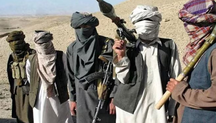 افغانستان میں چھوڑا ہوا امریکی اسلحہ غیر محفوظ ہے، اسلحہ مختلف پاکستان مخالف دہشتگرد تنظیموں کے ہاتھ لگ گیا ہے: سکیورٹی ذرائع/ فائل فوٹو