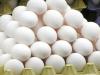 سردی کی شدت میں اضافہ ہوتے ہی انڈوں کی قیمت کو پر لگ گئے