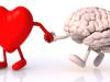 محبت ہمارے دماغ کو تبدیل کر دیتی ہے، تحقیق