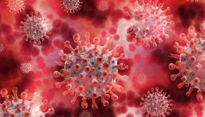 عالمی ادارہ صحت کے مطابق دسمبر میں وائرس کے پھیلاؤ میں اضافہ ہوا / فائل فوٹو