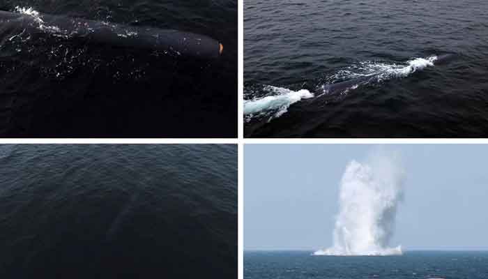 زیر آب جوہری ہتھیاروں کو لے جانے کی صلاحیت رکھنے والے ڈرون کو ’ہیئل 5-23 ‘ کا نام دیا گیا ہے۔ فوٹو سوشل میڈیا