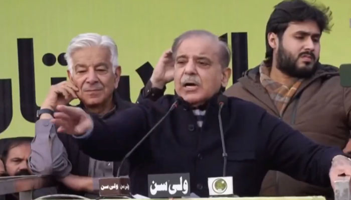 فوٹو: اسکرین شاٹ