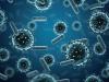 وائرس جیسے پراسرار جاندار انسانی معدے اور منہ میں دریافت