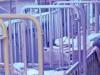 بہاولپور میں 24 گھنٹوں میں نمونیا سے مزید 3 بچے انتقال کرگئے