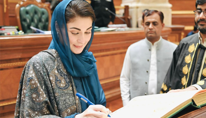 مریم نواز پہلی بار ملک کے کسی ایوان میں منتخب ہوکر پہنچی ہیں ۔فوٹو ن لیگ آفیشل