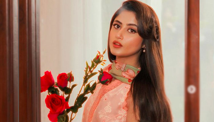 حال ہی میں سجل نے اپنی ایک ویڈیو انسٹاگرام پر شیئر کرتے ہوئے بتایا کہ وہ سوشل میڈیا پر ہیش ٹیگز اور ٹرینڈ کو نہیں دیکھتیں/ فائل فوٹو