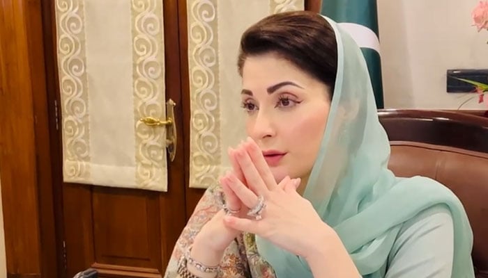 وزیراعلیٰ پنجاب مریم نواز کی زیرصدارت ایکسائز ٹیکسیشن اینڈنارکوٹکس کنٹرول کا جائزہ اجلاس ہوا جس میں اہم فیصلے کیے گئے/ فائل فوٹو