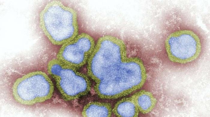 فلو وائرس مستقبل قریب میں عالمی وبا کا باعث بن سکتا ہے، ماہرین کا انتباہ