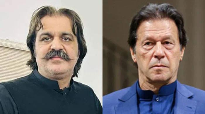 وزرا کی شکایتیں، علی امین کی عمران خان سے جیل میں ملاقات کی اندرونی کہانی سامنے آگئی