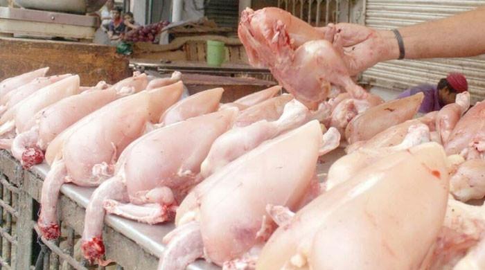 مرغی کی قیمت میں اضافہ کیوں ہوا؟ ڈی سی کوئٹہ کا نیا انکشاف