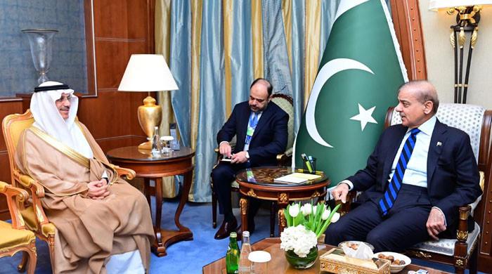 وزیراعظم کی صدر اسلامی ترقیاتی بینک سے ملاقات، پاکستان کے معاشی امور پر تبادلہ خیال