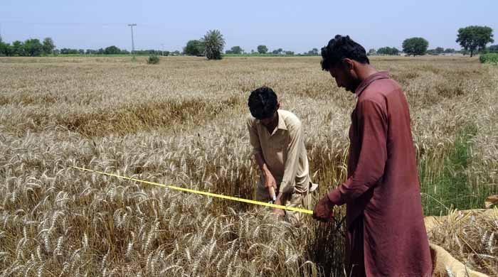 پنجاب حکومت چھوٹے کسانوں کو سبسڈی دینے کے معاملے پر تجاویز طے نہ کرسکی