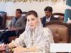 پنجاب کابینہ نے نواز شریف کسان کارڈ کے اجرا کی منظوری دے دی