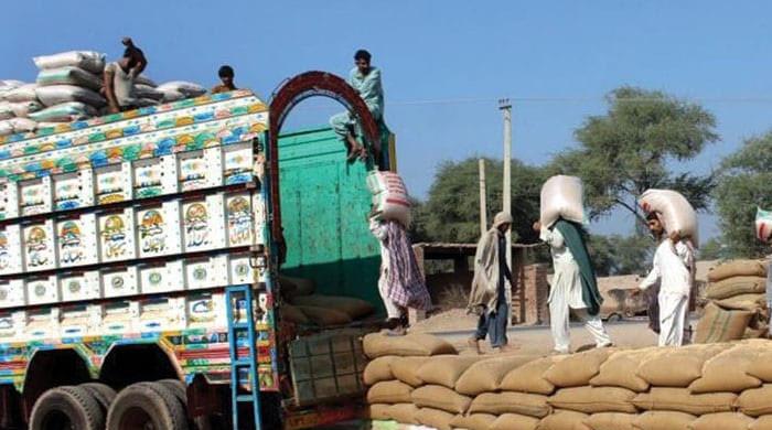 گندم اسکینڈل: نئی حکومت آنےکے بعد بھی 98 ارب 51 کروڑ روپےکی گندم درآمد ہونےکا انکشاف