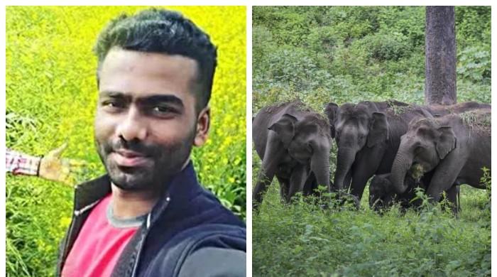 بھارت میں جنگلی ہاتھیوں نے ویڈیو بنانیوالے صحافی کو مار ڈالا