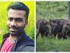 بھارت میں جنگلی ہاتھیوں نے ویڈیو بنانیوالے صحافی کو مار ڈالا