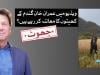 فیکٹ چیک: کیا ویڈیو میں عمران خان گندم کی فصل کا معائنہ کر رہے ہیں؟