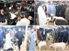 گورنر سندھ نے قربانی کیلئے 100 اونٹ، 10 بیل اور 100 بکرے خرید لیے