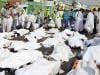 دوران حج جاں بحق افراد کی تعداد 1000 سے تجاوز کر گئی، 58 پاکستانی بھی شامل