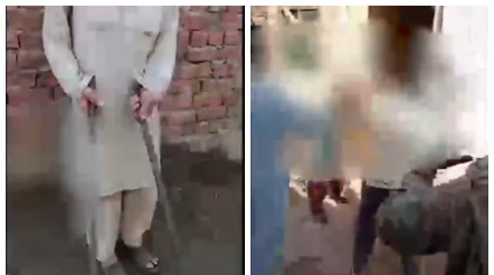 لاہور: گلی میں کتا رکھنے پر جھگڑا، پڑوسیوں کا ایک دوسرے پر ڈنڈوں سے تشدد 