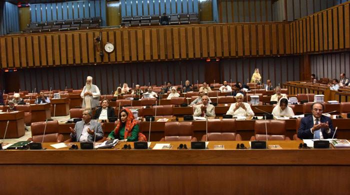 اشیائے ضروریہ اور خوراک پر ان ڈائریکٹ ٹیکس 50 فیصد کم کیا جائے، سینیٹ سے بجٹ سفارشات منظور