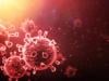 کراچی میں ’زیکا وائرس‘ کی موجودگی کا انکشاف، یہ وائرس کیسے پھیلتا ہے؟