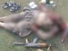 باجوڑ میں سکیورٹی فورسز  کے آپریشن میں دہشتگرد کمانڈر ہلاک
