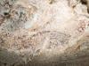 کم از کم 51 ہزار سال پرانی دنیا کی قدیم ترین تصویری کہانی انڈونیشین غار میں دریافت