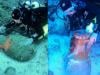 ماہرین نے 2 ہزار سال پرانے بحری جہاز کے ملبے سے خفیہ خزانہ دریافت کرلیا