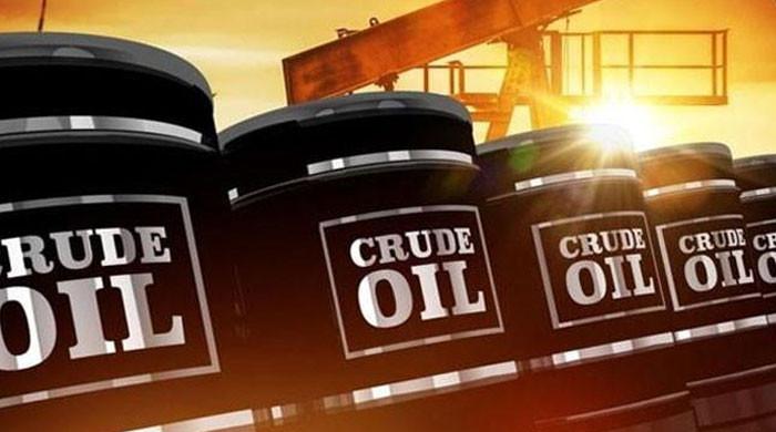 سعودیہ نے خام تیل دوبارہ ادھار پر دینے کی حامی نہیں بھری، قائمہ کمیٹی کو بریفنگ