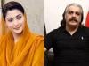 علی امین نے پھر مریم نواز کو نشانے پر لے لیا، عورت کارڈ استعمال کرنے کا الزام