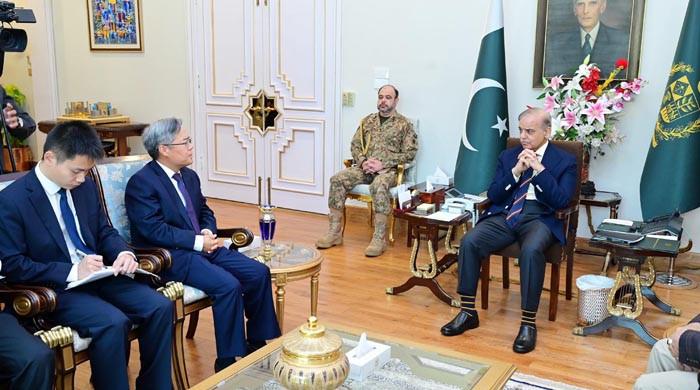 وزیر اعظم شہباز شریف سے چینی سفیر کی ملاقات
