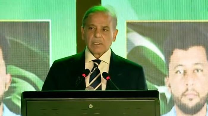 اگر ہم مستقل امن چاہتے ہیں تو مسئلہ کشمیر حل کرنا ہوگا، وزیر اعظم شہباز شریف 